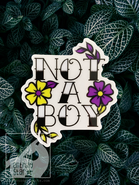 “Not a Boy” Clear Vinyl Sticker