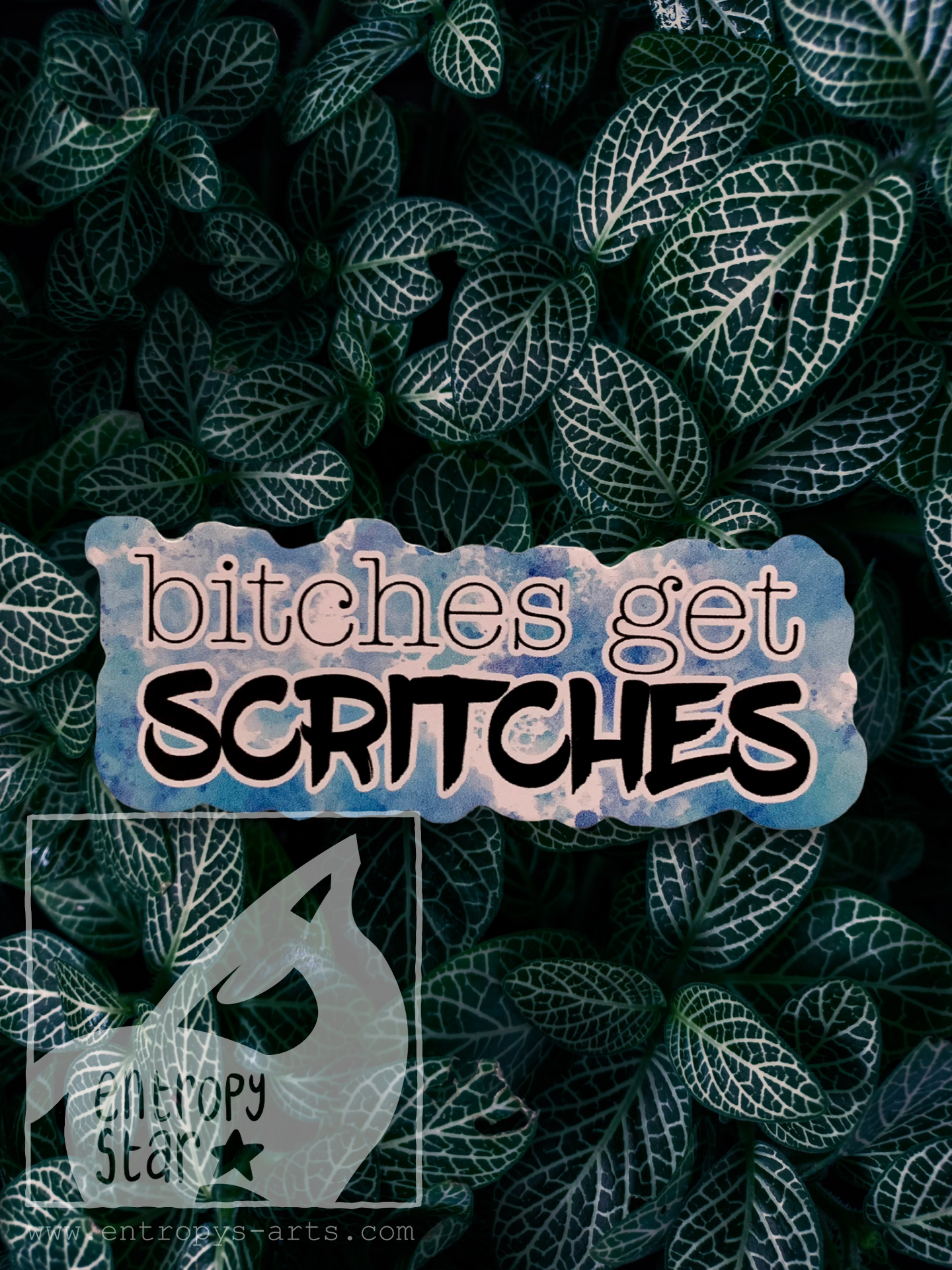 Bitches Get Scritches Sticker